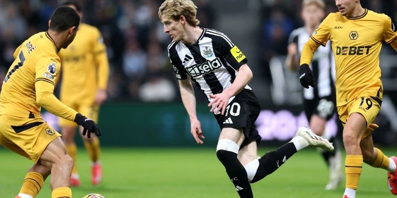 Phân tích Newcastle vs Wolves dựa trên thông số cụ thể