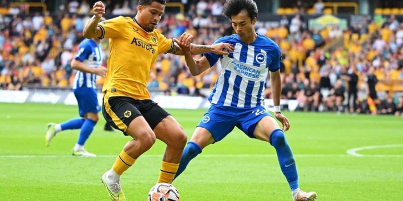 Dự đoán chặng đường sau này của Wolves vs Brighton