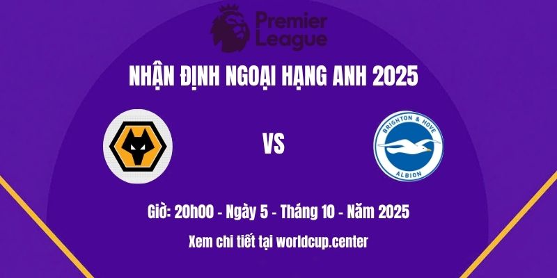 Wolves vs Brighton
