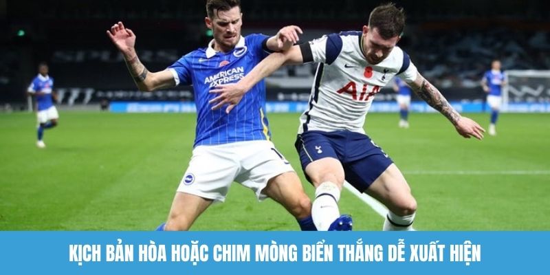 Kịch bản hòa hoặc Chim mòng biển thắng dễ xuất hiện