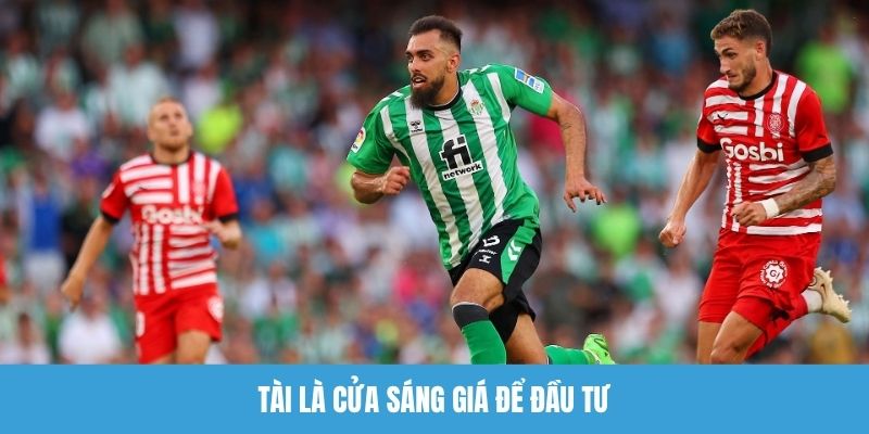 Tài là cửa sáng giá để đầu tư