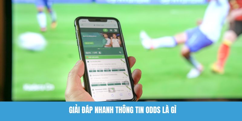 Giải đáp nhanh thông tin Odds là gì
