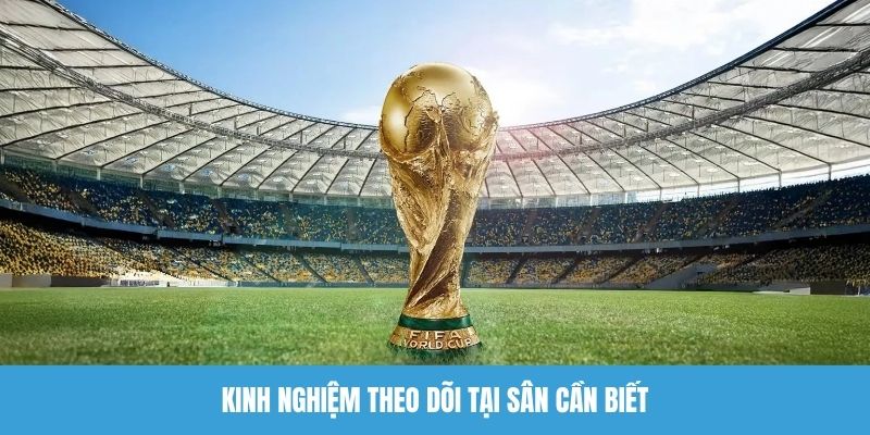 Kinh nghiệm theo dõi World Cup 2026 tại sân cần biết