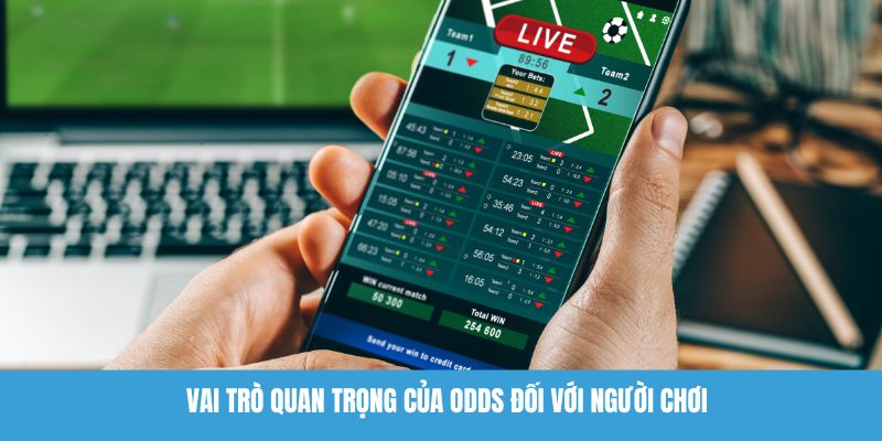 Vai trò quan trọng của odds đối với người chơi