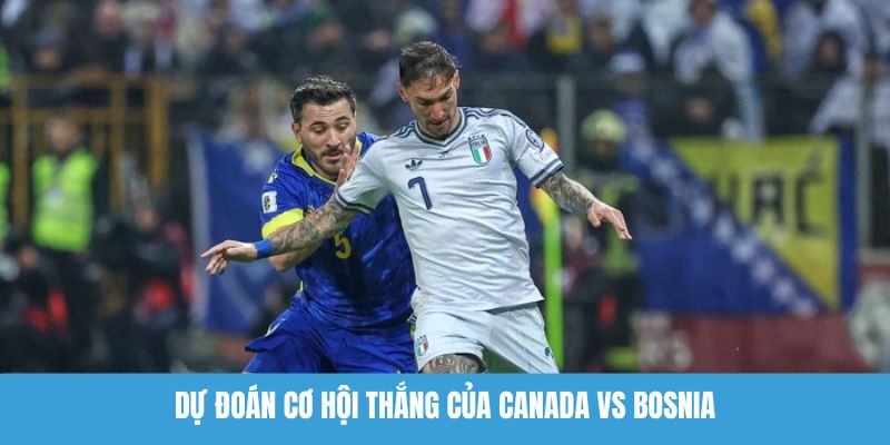 Tỷ số dự đoán: Canada 0 - 1 Bosnia