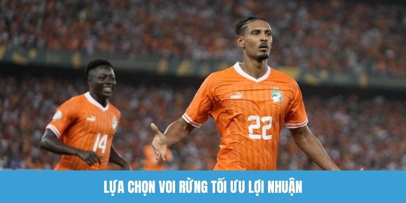 Lựa chọn Voi rừng tối ưu lợi nhuận