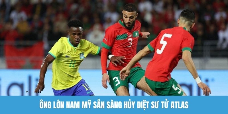 Ông lớn Nam Mỹ sẵn sàng hủy diệt Sư tử Atlas